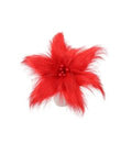 Fluffy Red Flower